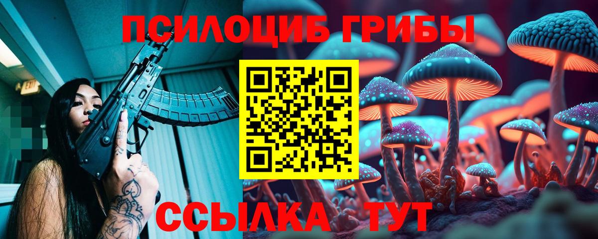 Галлюциногенные грибы Psilocybine cubensis  Псилоцибиновые грибы GOLDEN TEACHER  Вход с VPN  купить закладку  Пушкино 